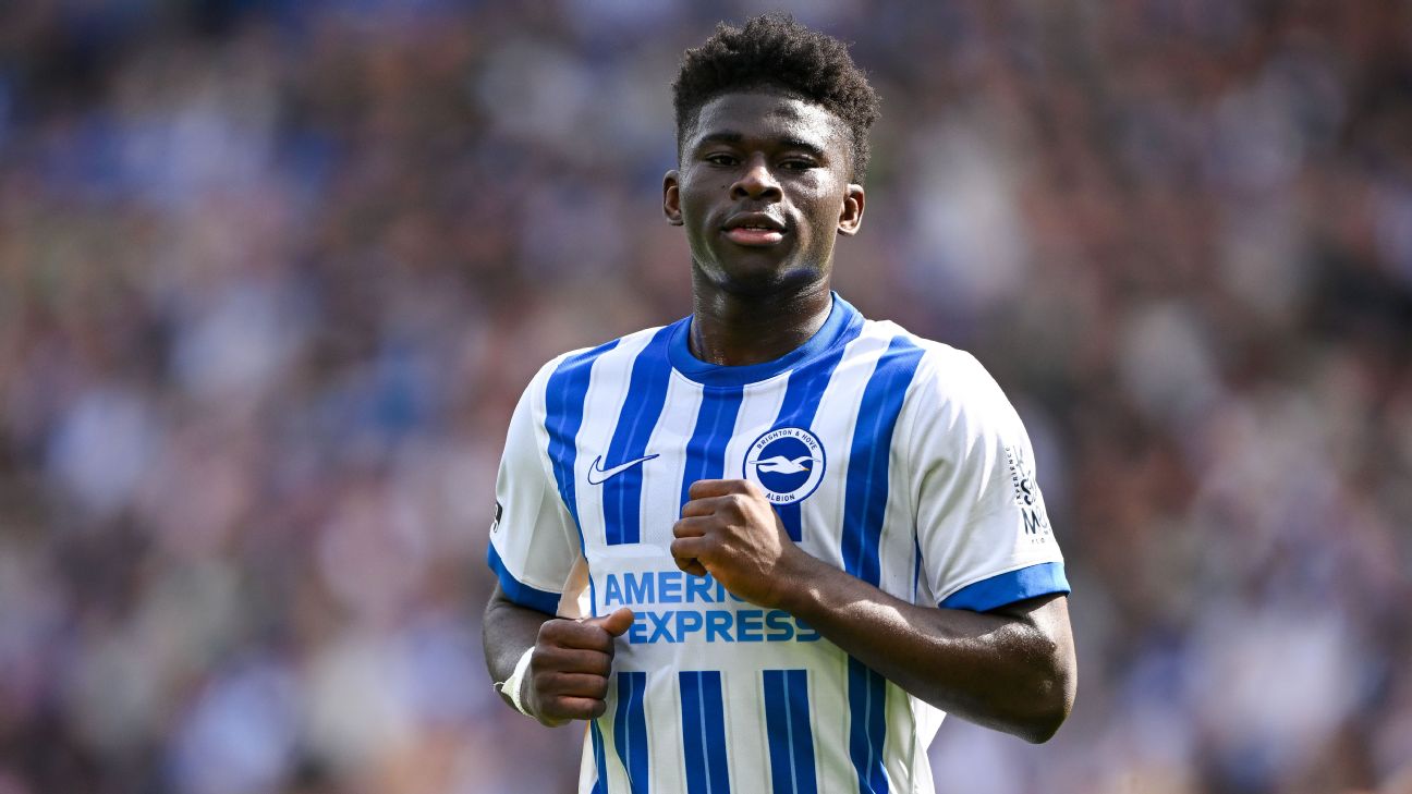 卓威体育中国官方网站 - 体育教学网页版在线登录入口